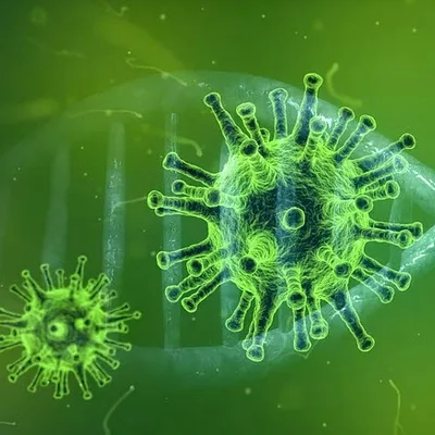 Bild